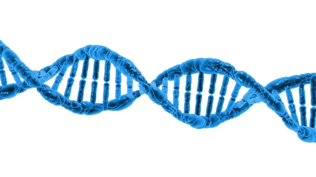 Integrated dna technologies