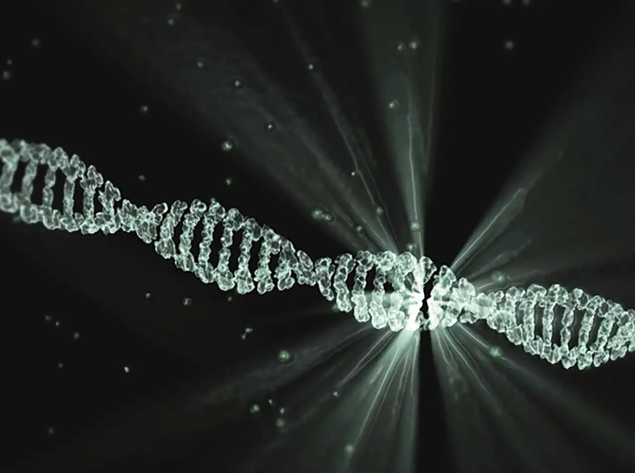 Dna chip teknologi: fremtidens diagnostik og forskning