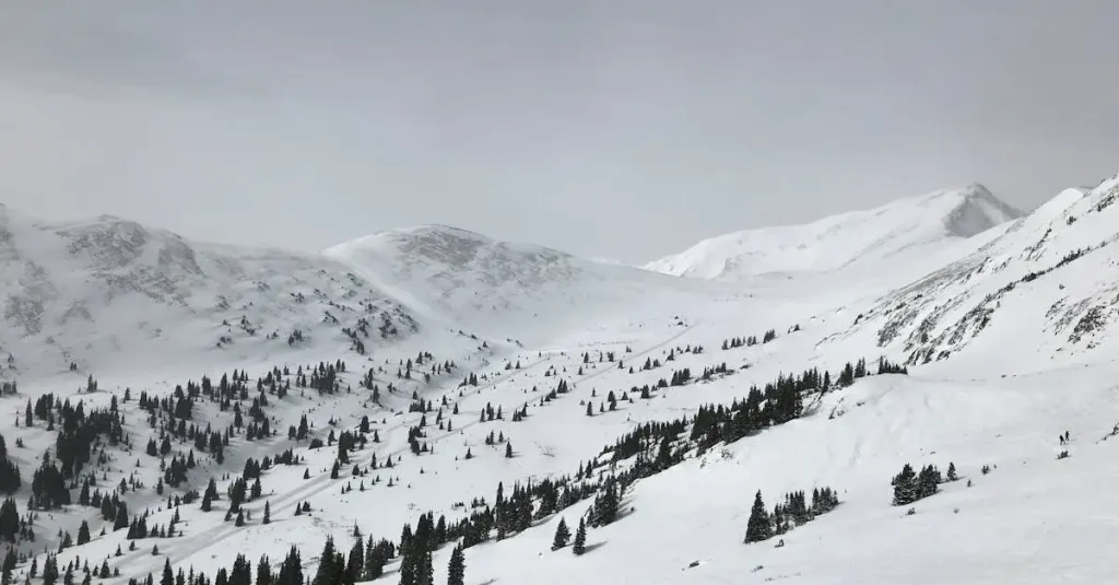 Lib Technologies Snowboards: Kvalitet og Innovation til Din