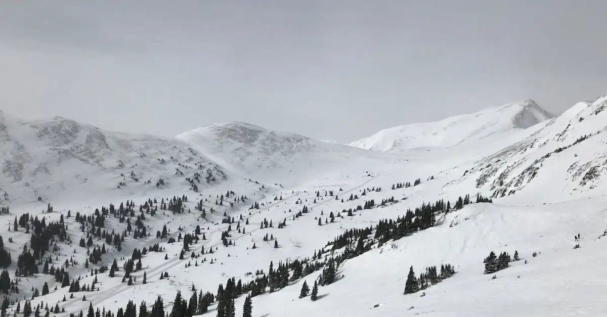 Lib Technologies Snowboards: Kvalitet og Innovation til Din
