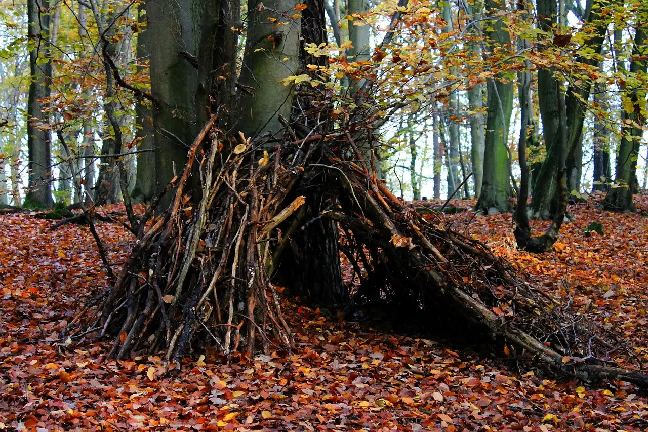 Primitive technology: Byg og overlev med simple redskaber